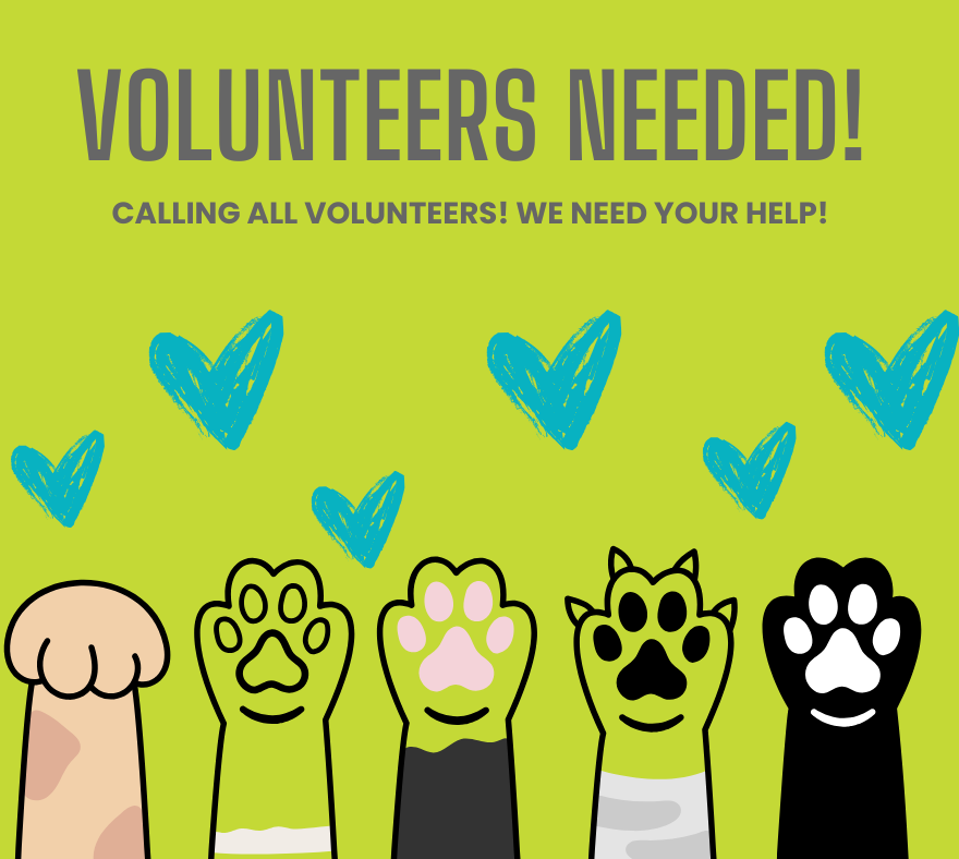 Blue and White Modern Volunteers Needed Facebook Post (Facebook Post)-1
