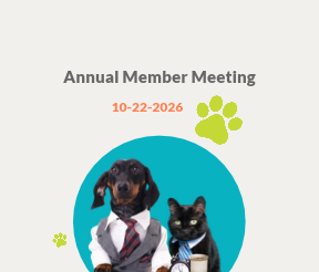 Board Member Recruitment Email Header (3 x 4 in)-1