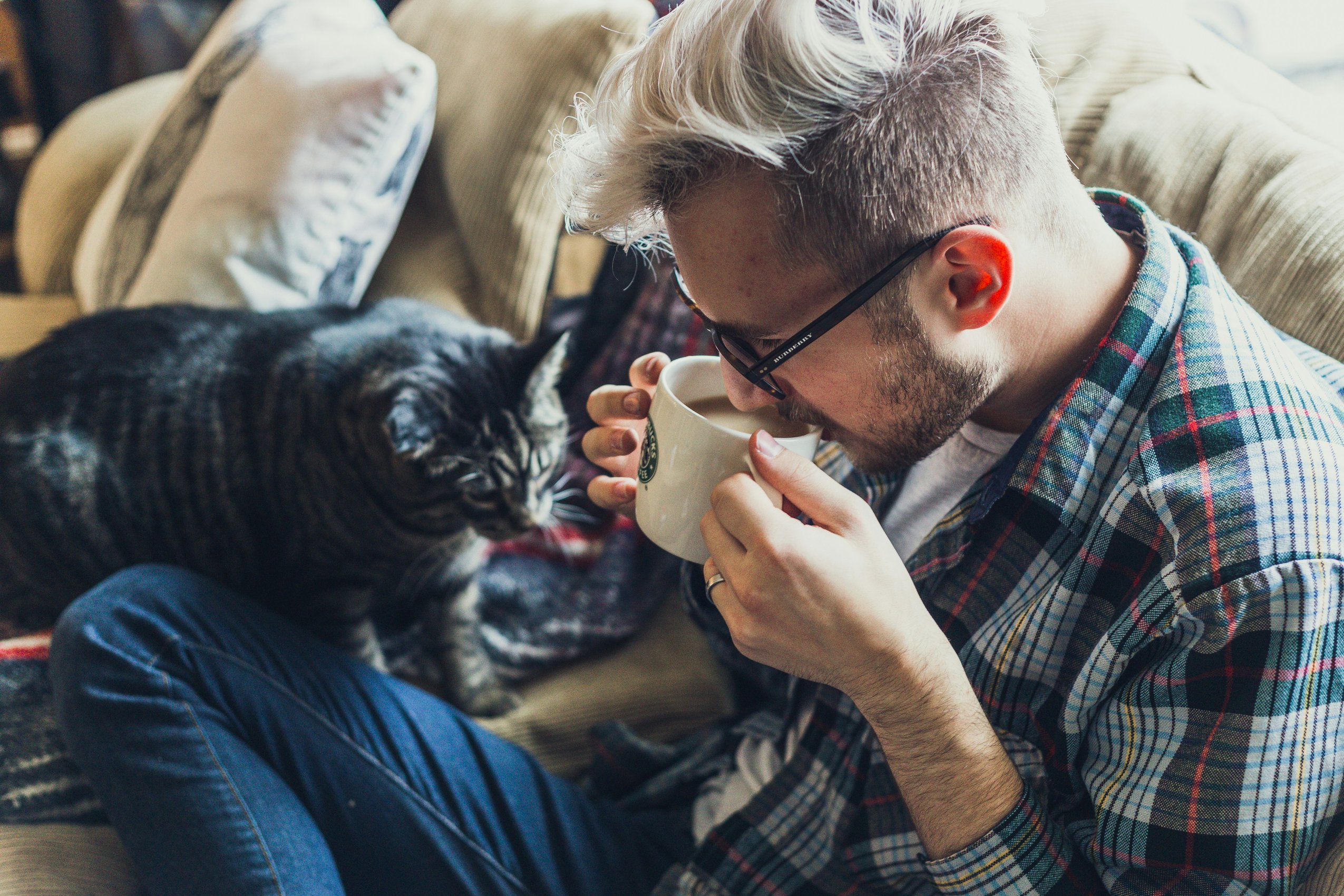 Cat Foster