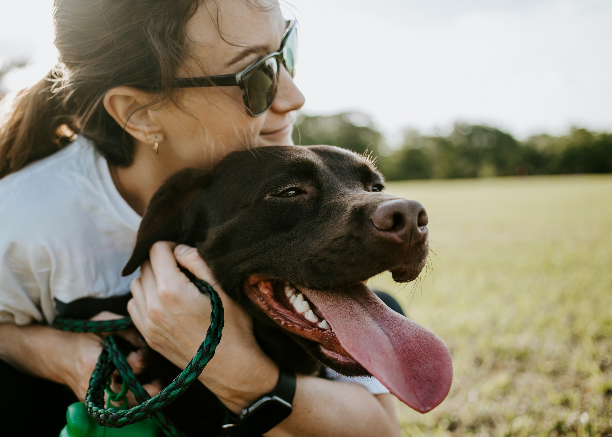 Dog Foster