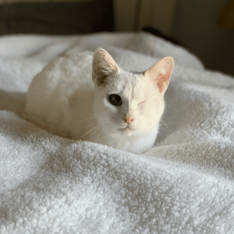 Esther-Resized