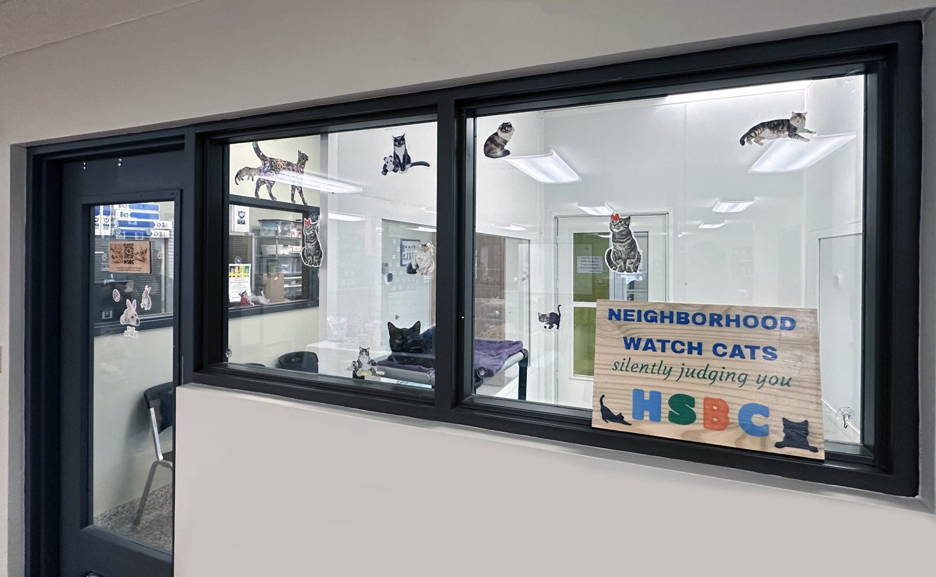 HSBC Cattery